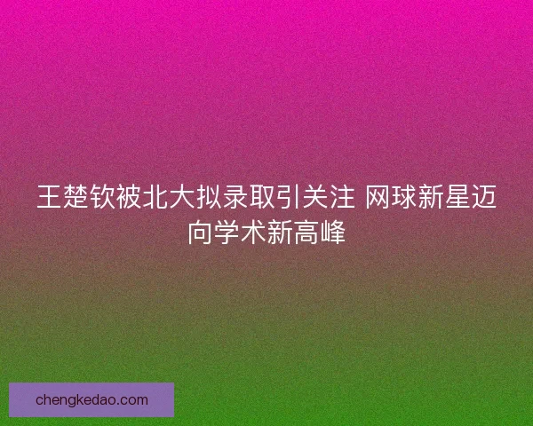王楚钦被北大拟录取引关注 网球新星迈向学术新高峰