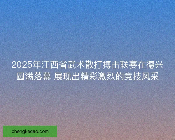 2025年江西省武术散打搏击联赛在德兴圆满落幕 展现出精彩激烈的竞技风采