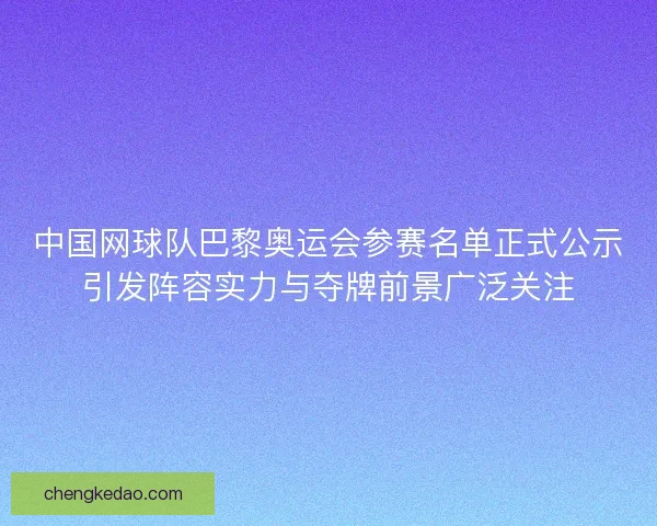 中国网球队巴黎奥运会参赛名单正式公示引发阵容实力与夺牌前景广泛关注
