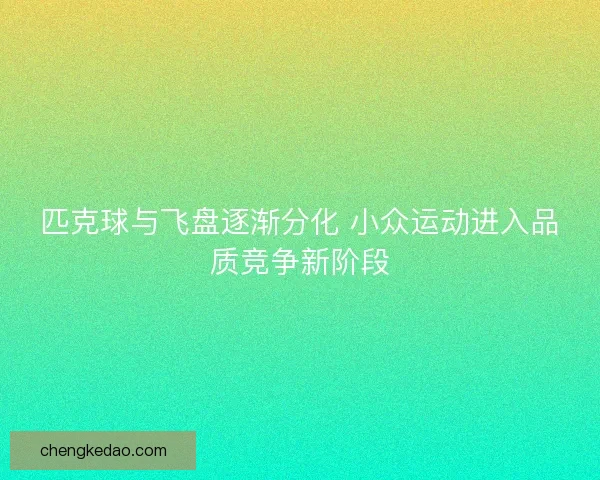 匹克球与飞盘逐渐分化 小众运动进入品质竞争新阶段