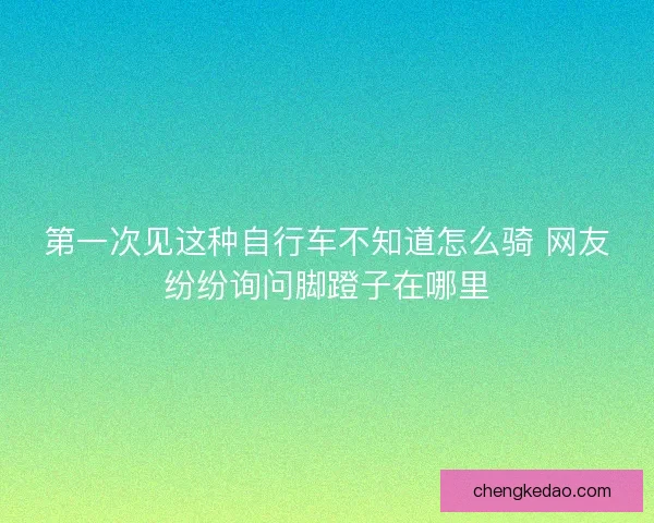 第一次见这种自行车不知道怎么骑 网友纷纷询问脚蹬子在哪里