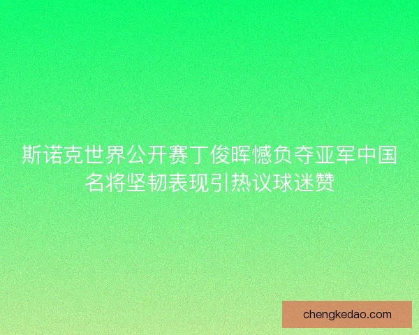 斯诺克世界公开赛丁俊晖憾负夺亚军中国名将坚韧表现引热议球迷赞