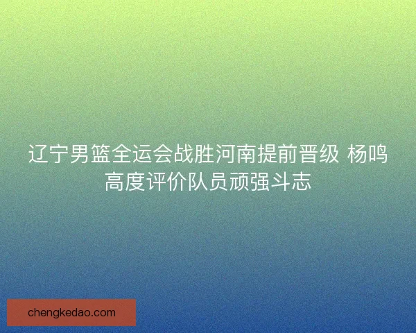 辽宁男篮全运会战胜河南提前晋级 杨鸣高度评价队员顽强斗志